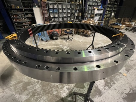 Slewing Ring for Fantuzzi Reggiane MHC Cranes